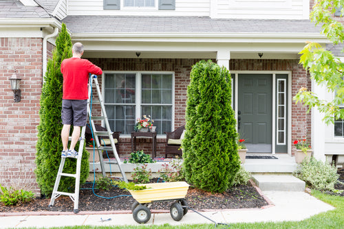 4 Easy Ways to Update your Curb Appeal Without Spending a Fortune!